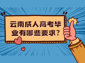 云南成考 云南成考畢業