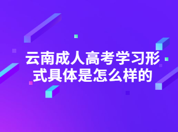 云南成考 云南成人高考學(xué)習(xí)形式