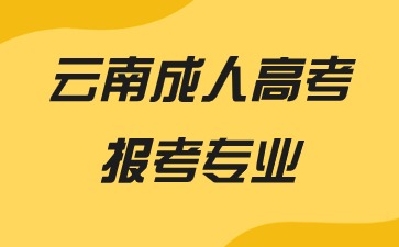 2024年云南成人高考報考專業推薦有哪些？